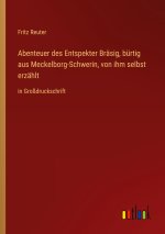 Abenteuer des Entspekter Bräsig, bürtig aus Meckelborg-Schwerin, von ihm selbst erzählt