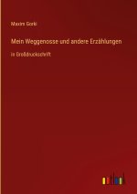 Mein Weggenosse und andere Erzählungen