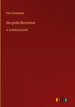 Die große Revolution