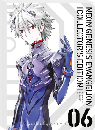Neon Genesis Evangelion - Perfect Edition 6