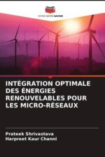INTÉGRATION OPTIMALE DES ÉNERGIES RENOUVELABLES POUR LES MICRO-RÉSEAUX