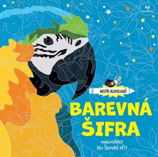 Barevná šifra (Lauren Farnsworthová,Amanda Learmonthová)(Brožovaná)