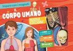 corpo umano. Imparo con i magneti