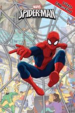 Marvel Spider-Man: Little Look and Find: Little Look and Find