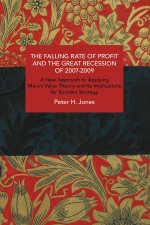 Falling Rate of Profit and the Great Recession of 2007-2009