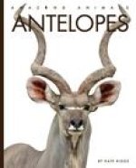 Antelopes