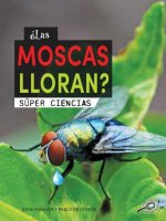 ?Las Moscas Lloran?: Does a Fly Cry?