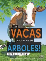 ?Las Vacas No Viven En Los Árboles!: Cows Don't Live in Trees!