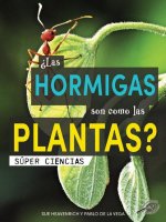 ?Las Hormigas Son Como Las Plantas?: Are Ants Like Plants?