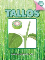 Tallos: Stem