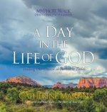 A Day In The Life Of God: Trusting Our Creator In Turbulent Times