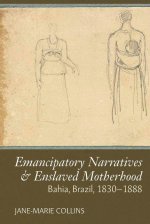 Enslaved Motherhood & Emancipatory Narratives: Bahia, Brazil, 1830-1888