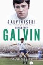 Galvanised
