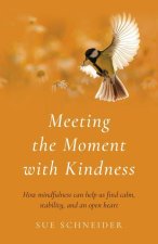 Meeting the Moment with Kindness - How mindfulness can help us find calm, stability, and an open heart