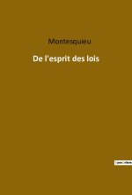 De l'esprit des lois
