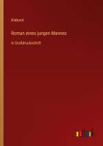 Roman eines jungen Mannes