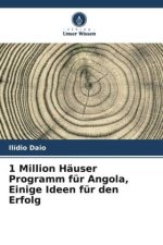 1 Million Häuser Programm für Angola, Einige Ideen für den Erfolg