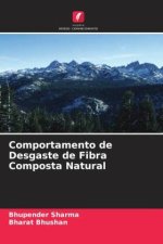 Comportamento de Desgaste de Fibra Composta Natural