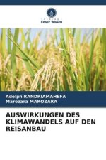 AUSWIRKUNGEN DES KLIMAWANDELS AUF DEN REISANBAU