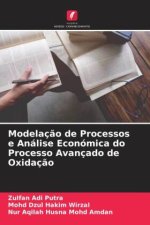 Modelaç?o de Processos e Análise Económica do Processo Avançado de Oxidaç?o