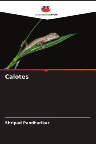 Calotes