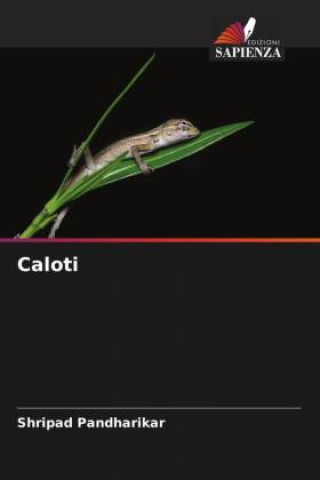 Caloti
