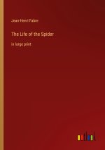 The Life of the Spider