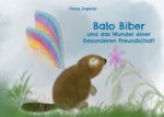 Balo Biber