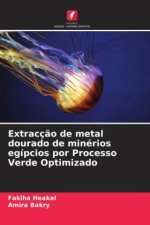 Extracç?o de metal dourado de minérios egípcios por Processo Verde Optimizado