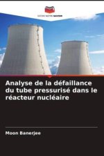 Analyse de la défaillance du tube pressurisé dans le réacteur nucléaire
