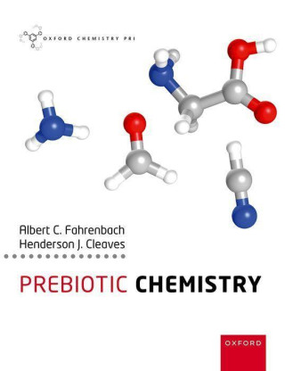 Prebiotic Chemistry 1/e (Paperback)