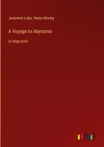 A Voyage to Abyssinia
