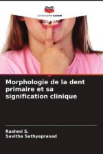 Morphologie de la dent primaire et sa signification clinique