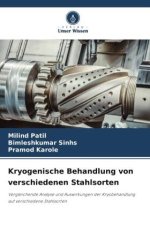Kryogenische Behandlung von verschiedenen Stahlsorten