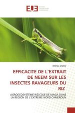 EFFICACITE DE L?EXTRAIT DE NEEM SUR LES INSECTES RAVAGEURS DU RIZ