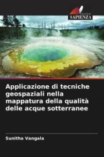 Applicazione di tecniche geospaziali nella mappatura della qualit? delle acque sotterranee