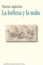 La belleza y la nube