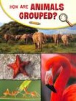 How Are Animals Grouped?