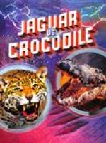 Jaguar vs Crocodile