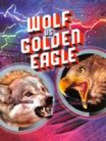 Wolf vs Golden Eagle