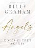Angels: God's Secret Agents