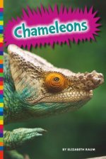 Chameleons