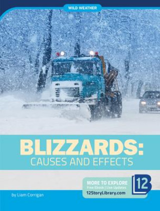 Blizzards: Causes and Effects