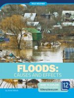 Floods: Causes and Effects