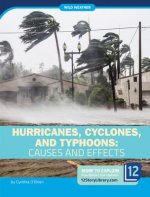 Hurricanes, Cyclones, and Typhoons: Causes and Effects