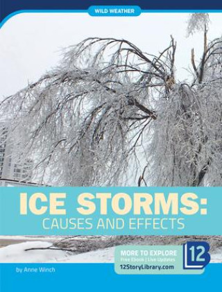 Ice Storms: Causes and Effects