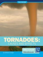 Tornadoes: Causes and Effects