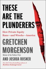 These Are the Plunderers: How Private Equity Runs--And Wrecks--America