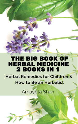 The Big Book of Herbal Medicine