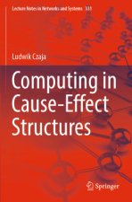 Computing in Cause-Effect Structures